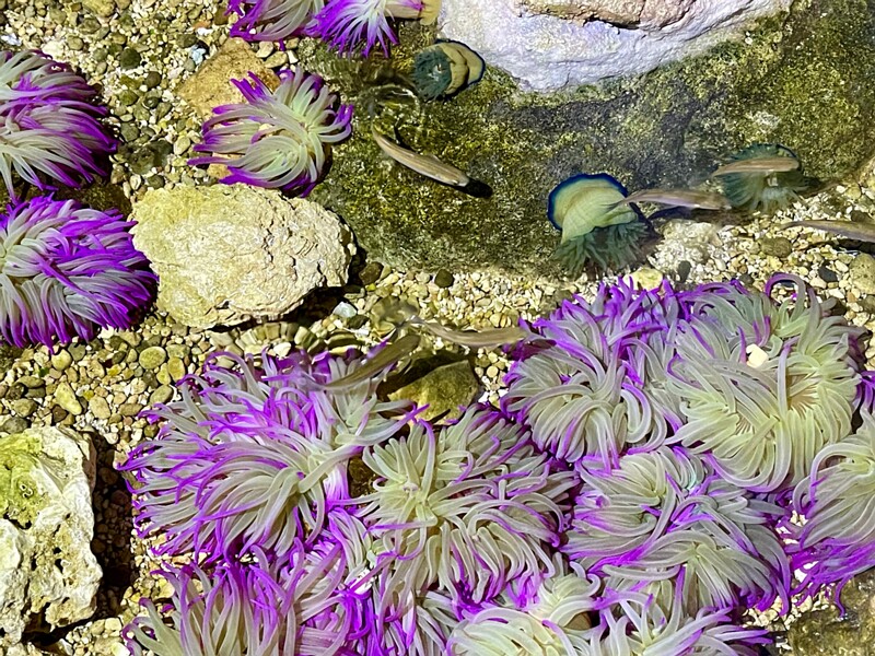 Malta National Aquarium